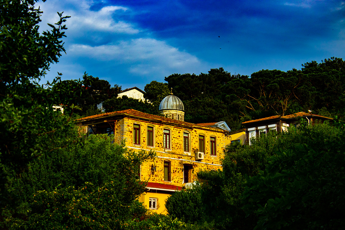 A yellow building with Renaissance style architecture draped by trees in front of a blue sky.
                        